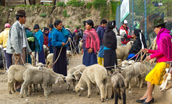Tour Cotopaxi, Otavalo Market
